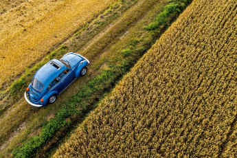 VW Käfer | La Grande Bug - Der Grandseigneur