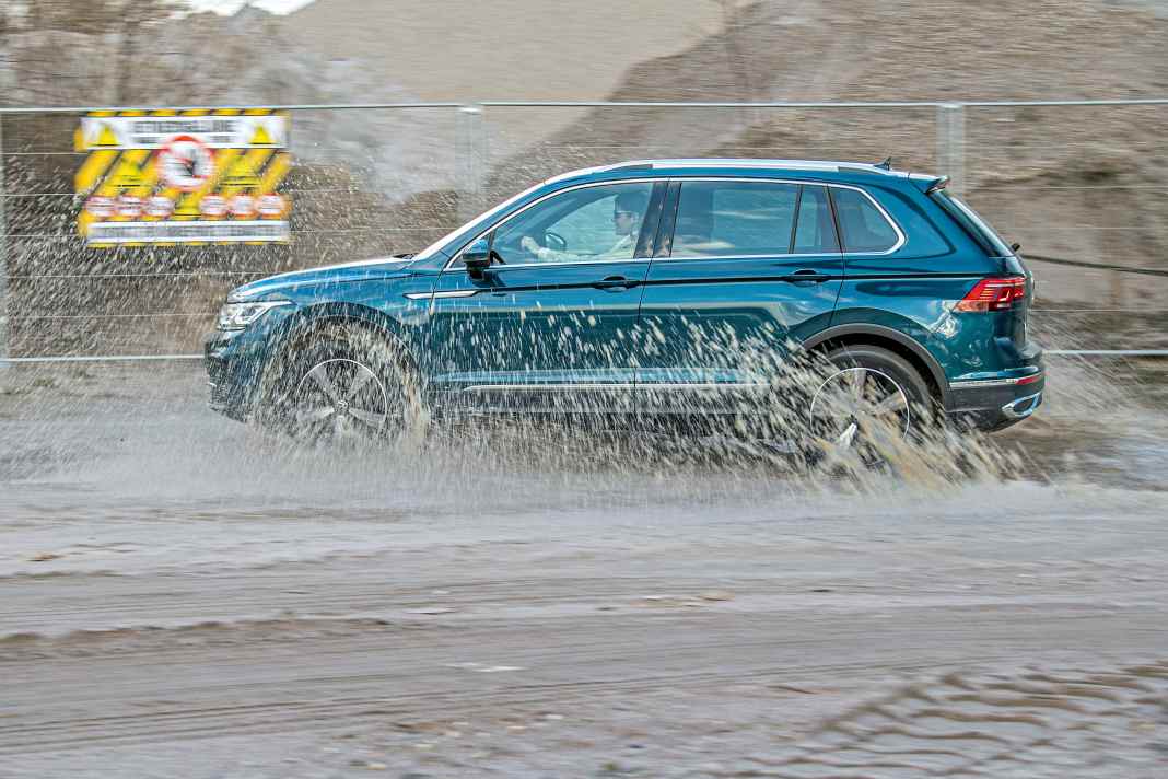 Der Universalgelehrte