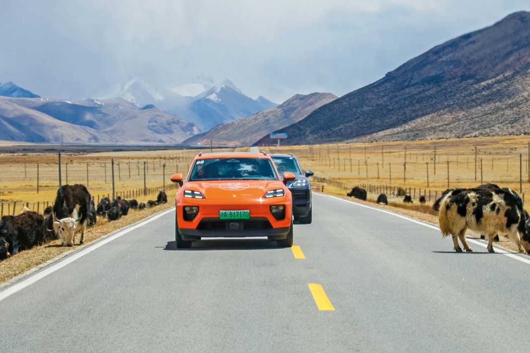 SUV-Reise auf einer der längsten Routen der Welt