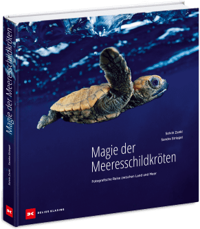 Magie der Meeresschildkröten