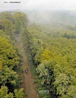 Pfälzerwald