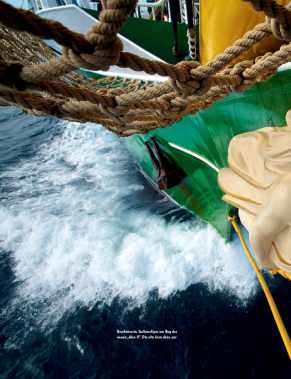 Alexander von Humboldt II