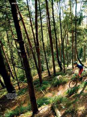 Teutoburger Wald