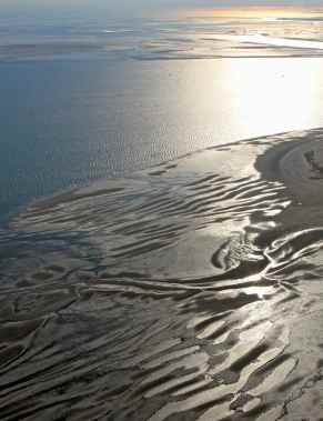 Nordsee: Wattentörn auf den Spuren der Dulcibella