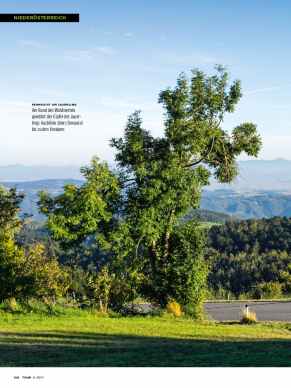 Niederösterreich: Melk