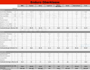 Wertungstabelle Enduro-Oberklasse 06/06