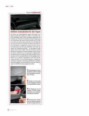 Tiguan-Schutzleisten