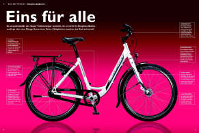 Simplon Alulite Fahrbericht