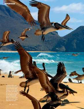 Baja California, Mexico