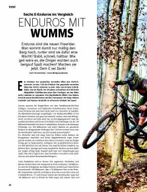 E-Enduros