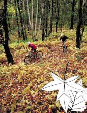 Herbst-Special