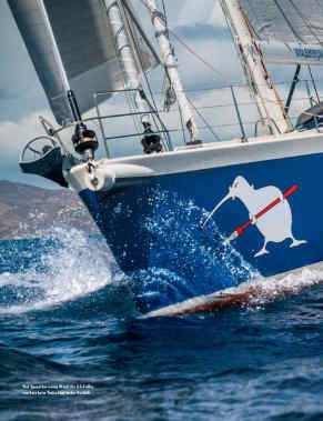 Kiwi Spirit