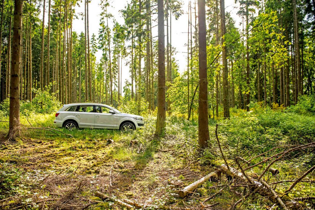 Audi Q7 4.2 TDI 340 PS - Dimension 7