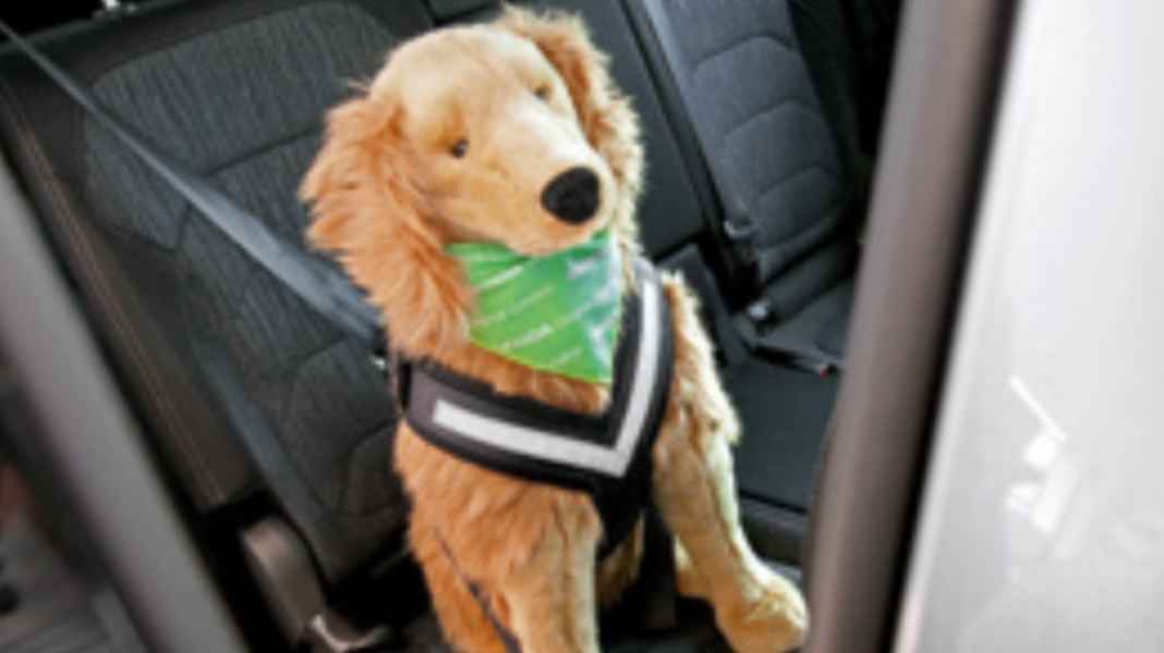 Quick Service - Wautzi gesichert