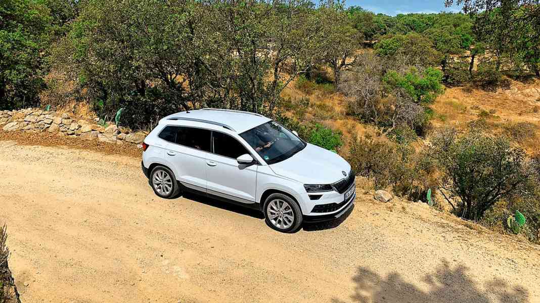 Dauertest: Skoda Karoq 1.5 TSI DSG - Mit weißer Weste