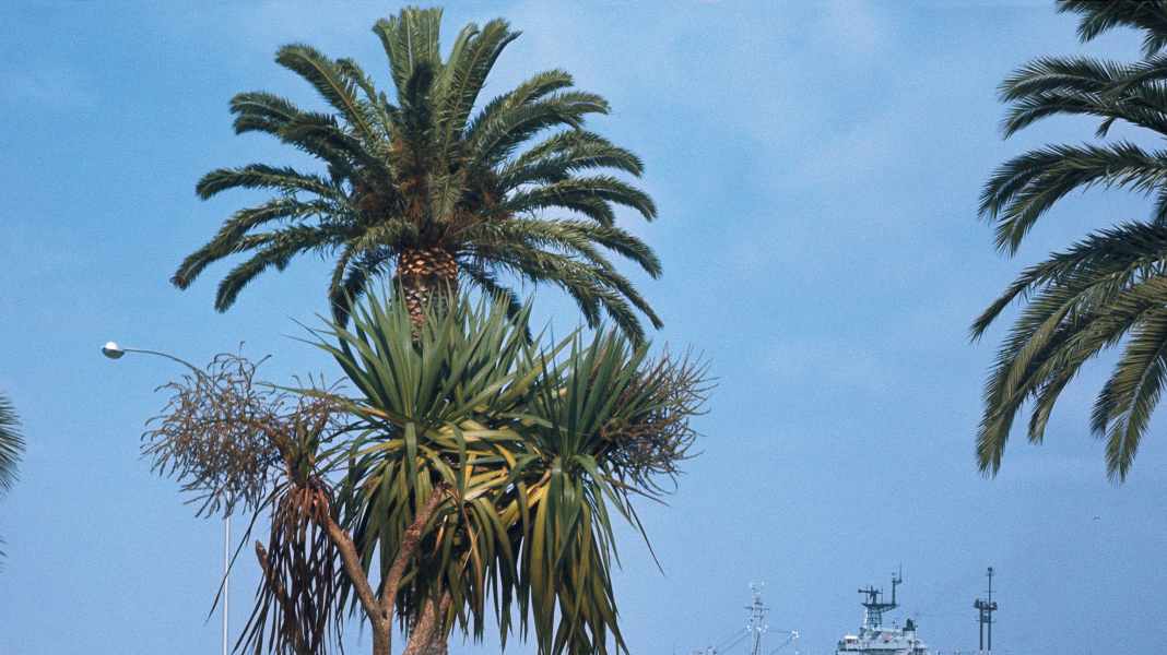 Porsche-Menschen: Ed Peter – Shoot on sunday ...