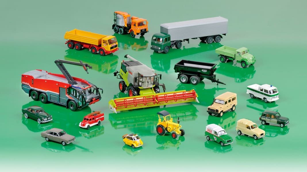 Volljährige: Die Wiking-News für den Oktober