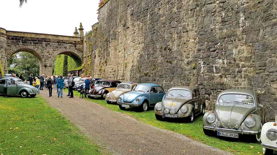 Brezelfenstervereinigung Jahrestreffen: Das große Krabbeln