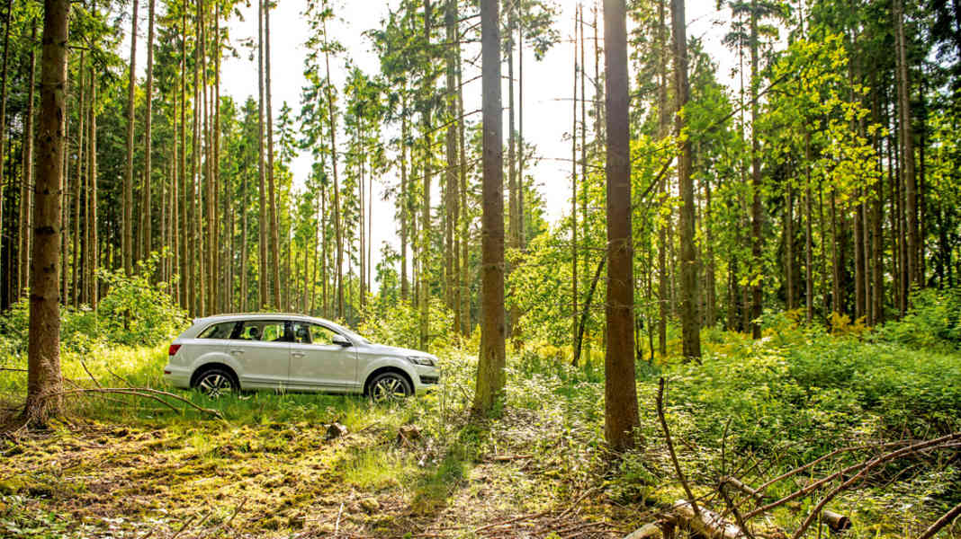 Test: Audi Q7 4.2 TDI 340 PS - Dimension 7