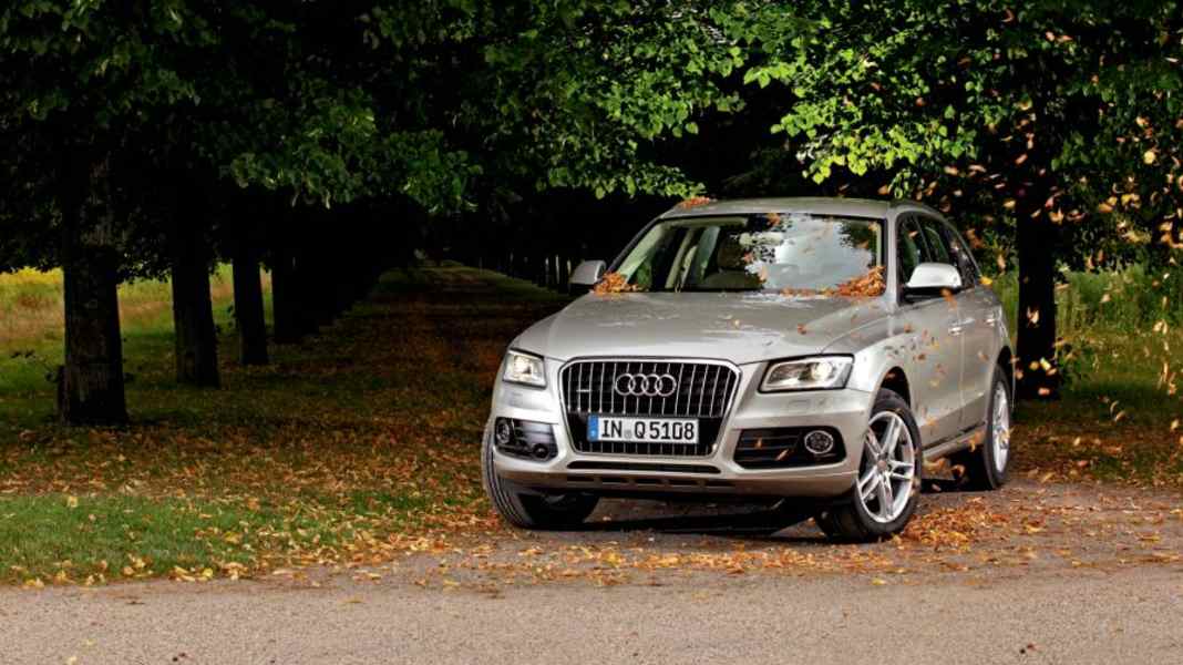 Test: Audi Q5 2.0 TFSI 225 PS - Das Beste aus zwei Welten