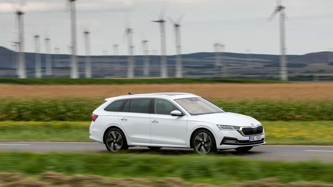 Skoda Octavia Mild-Hybrid - Milde Sorte