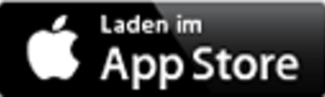 Download SBF Fragen App im Apple Store 