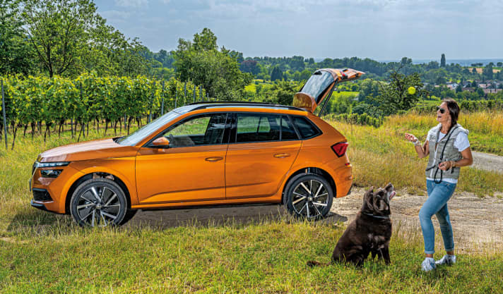 Feldwege oder ganz leichtes Gelände sind dank großer Bodenfreiheit kein Problem. Und für nur 90 Euro Aufpreis montiert Skoda einen Unterfahrschutz