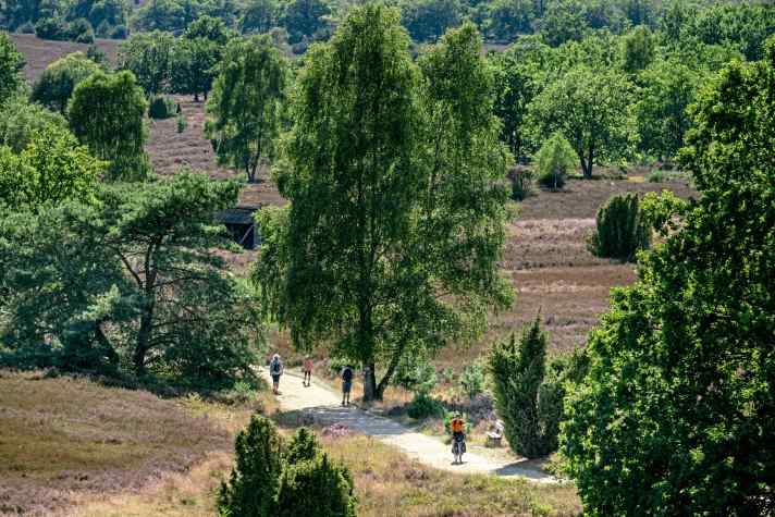 Meistens teilen sich Fußgänger und Radfahrer die Wege in der Heide.