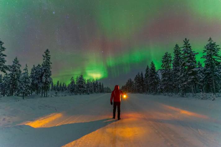 Man in red jacket standing in the middle of a snowy road with lantern in his hand watching northern lights, Lapland, Sweden.
