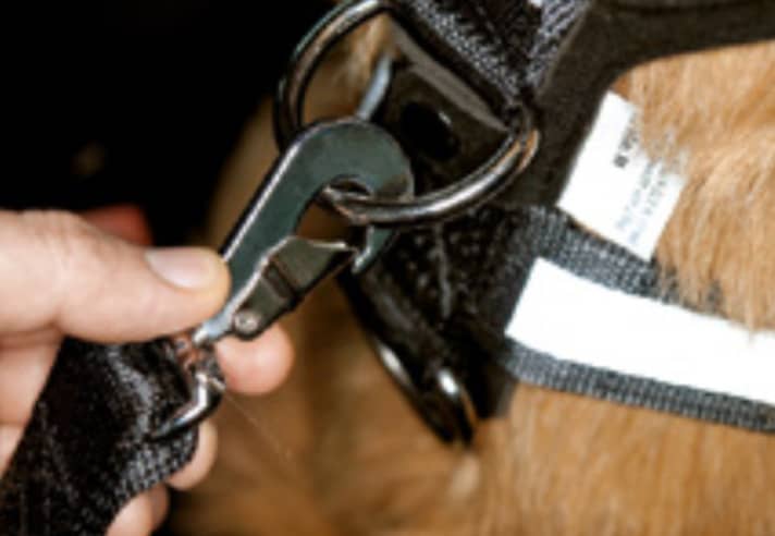   03.
 	Zum "Anhängen" des Hundes den Karabiner am Autogurt-Adapter einklicken