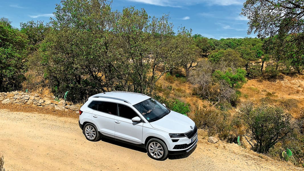 Dauertest: Skoda Karoq 1.5 TSI DSG - Mit weißer Weste