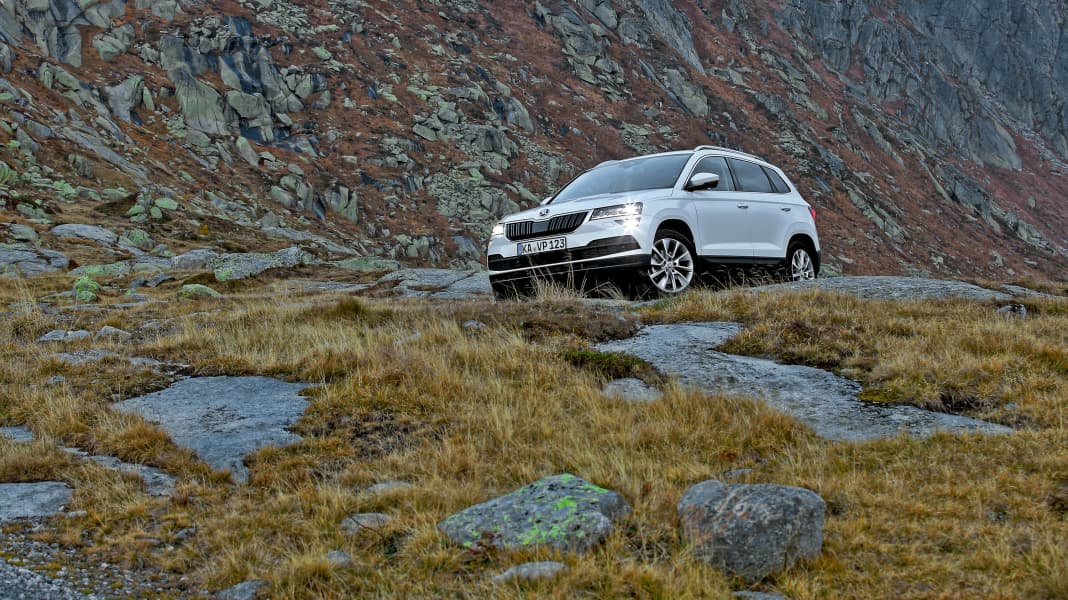 Skoda Karoq 1.5 TSI DSG: Mit weißer Weste