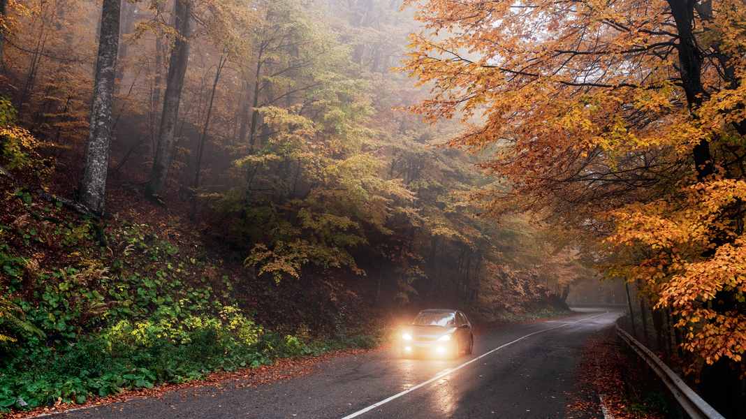 FAHREN IM HERBST: Licht im Blick
