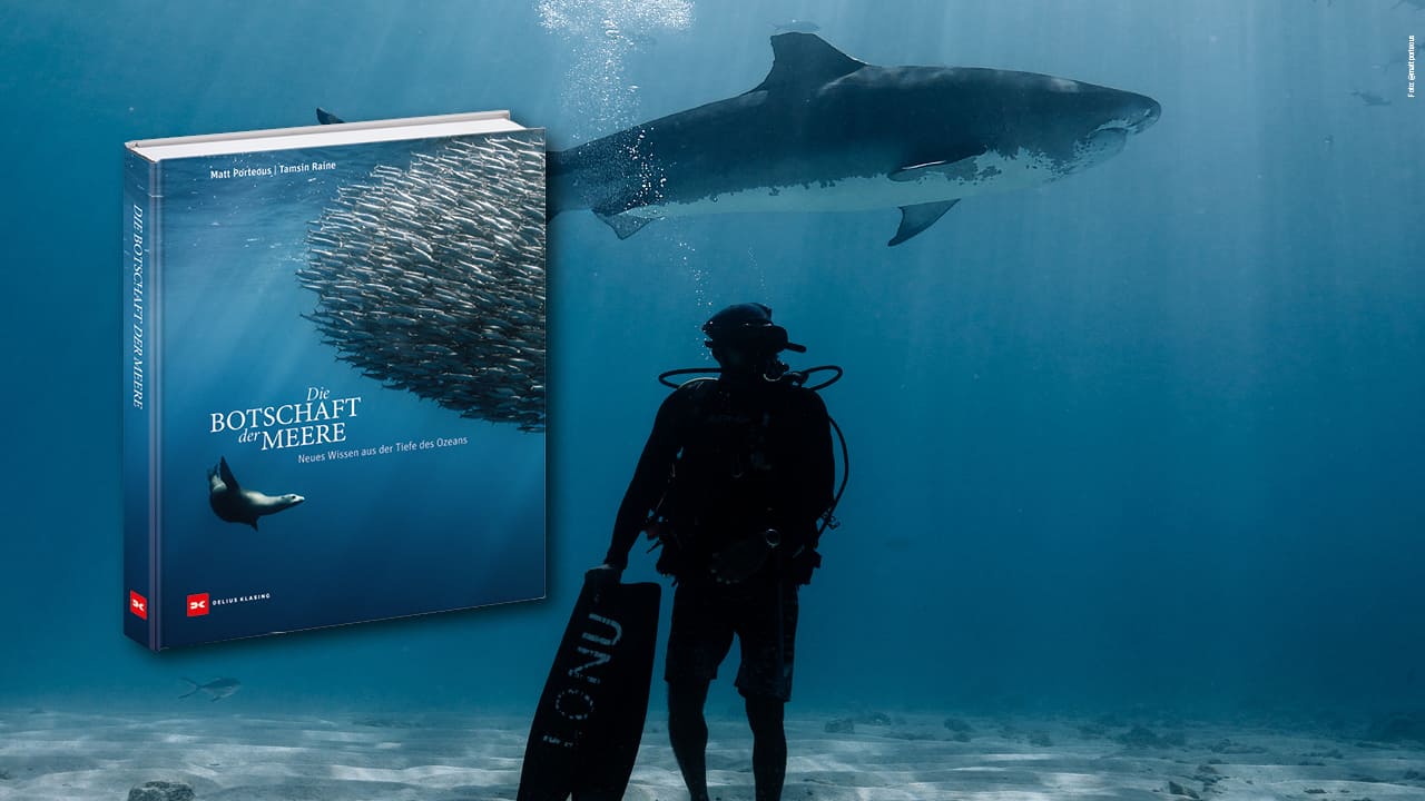 Neues Wissen aus der Tiefe des Ozeans