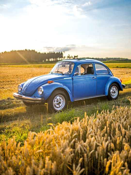 In den USA wurden zwei Varianten angeboten, Vipergrün-metallic/Bambus oder Ancona-metallic/Dunkelblau waren am Start, in Kanada gab es noch eine dritte Version in Hellas-metallic und Nussbraun