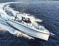 Kategorie bis 14 m: Wellcraft 38 T-Top