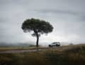 Volvo EX30 Cross Country