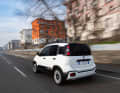 Fiat Pandina