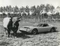 Wenn der Miura-Stier von Lamborghini im Maßstab 1:12 Arancio Borealis trägt, sieht er noch etwas wilder aus