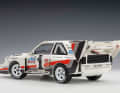 ’87 Audi E2 „Pikes Peak“ von Autoart in 1:18