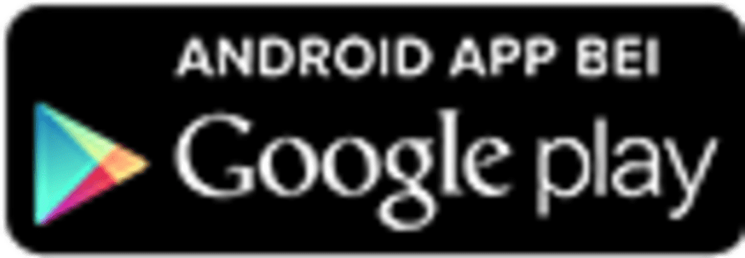 Download SBF Fragen App im Google Store