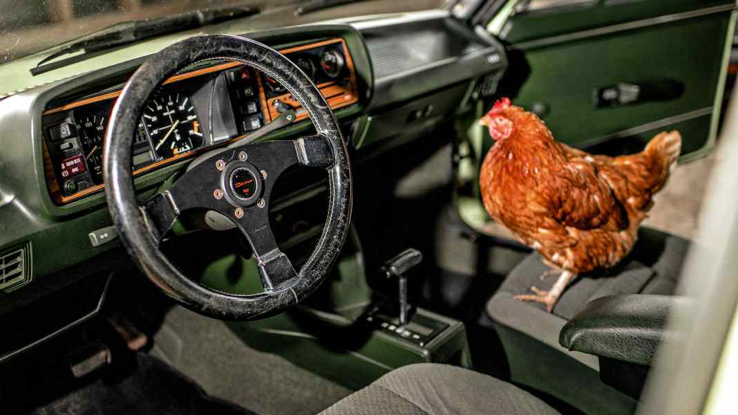 VW Passat 32 Variant Automatik: Scheune Bescherung!
