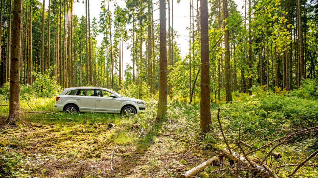 Test: Audi Q7 4.2 TDI 340 PS - Dimension 7