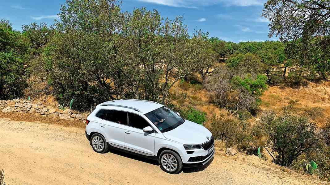 Dauertest: Skoda Karoq 1.5 TSI DSG - Mit weißer Weste