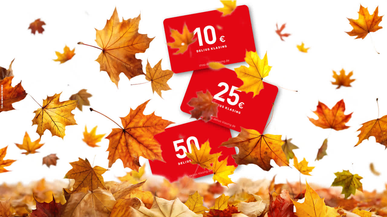 Auf der Suche nach einem Geschenk?