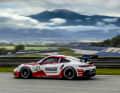 Sacha Norden (NLD), Proton Huber Competition (#21), Porsche 911 GT3 Cup, Vorschau, Porsche Sixt Carrera Cup Deutschland, Runde 8, Hockenheim (DEU), 2025, Porsche AG
