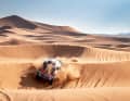 Mit knapp 8.000 Kilometern Länge in 14 Tagen ist die Rallye Dakar die härteste Rallye der Welt