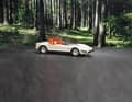 Ein Alfa steht im Walde – aber einer von Matrix Scale Models in 1:43. Der P 33 Roadster aus Resine ist ab sofort im Handel lieferbar.