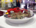 Der Gitterrohrrahmen und die Karosserie des Projekts Ferrari 250 LM von CMC in 1:18 sind schon auf einem guten Wege
