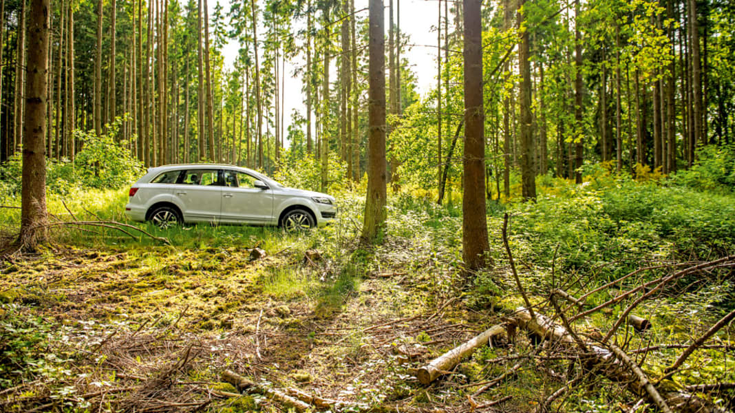 Test Audi Q7 4.2 TDI 340 PS Dimension 7 Gute Fahrt